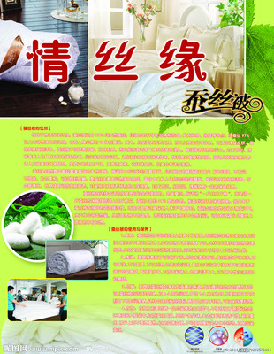 蠶絲被宣傳DM圖片