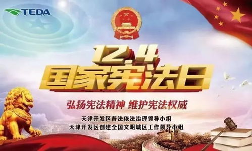 本周,泰達迎來 憲法宣傳周