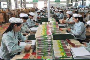 不砍一棵樹 照樣有出路