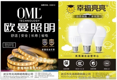 照明產品宣傳單頁設計 點亮空間，傳遞價值