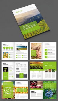 農產品物流 現代化流通體系的關鍵支撐