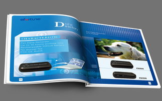 企業宣傳圖冊 連接品牌與客戶的視覺橋梁